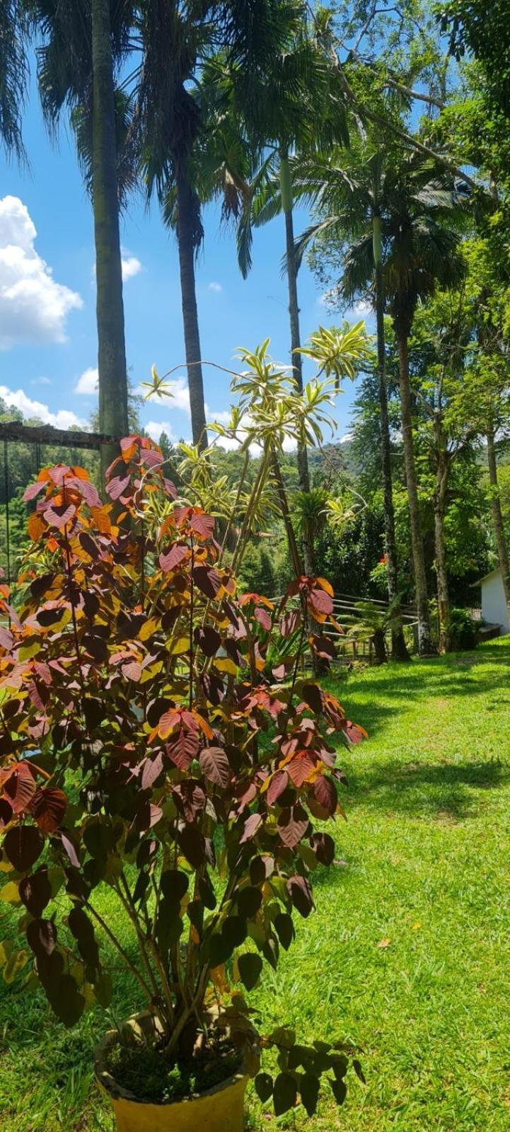 Sitio Saramandaia Villa Жукитиба Екстериор снимка